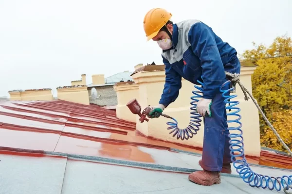 Top 5 Reasons Roof Painting Is Crucial for Long-Term Home Durability