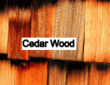 Cedar Wood