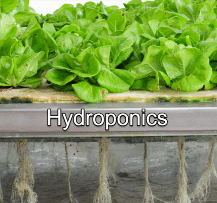 Hydroponics