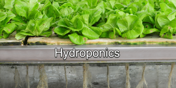 Hydroponics